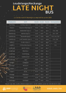 Late Night Bus pour la St. Silvestre