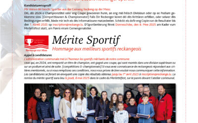 Mérite Sportif