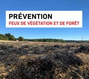 Prévention : Feux de végétation et prudence en forêt