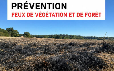 Prévention : Feux de végétation et prudence en forêt